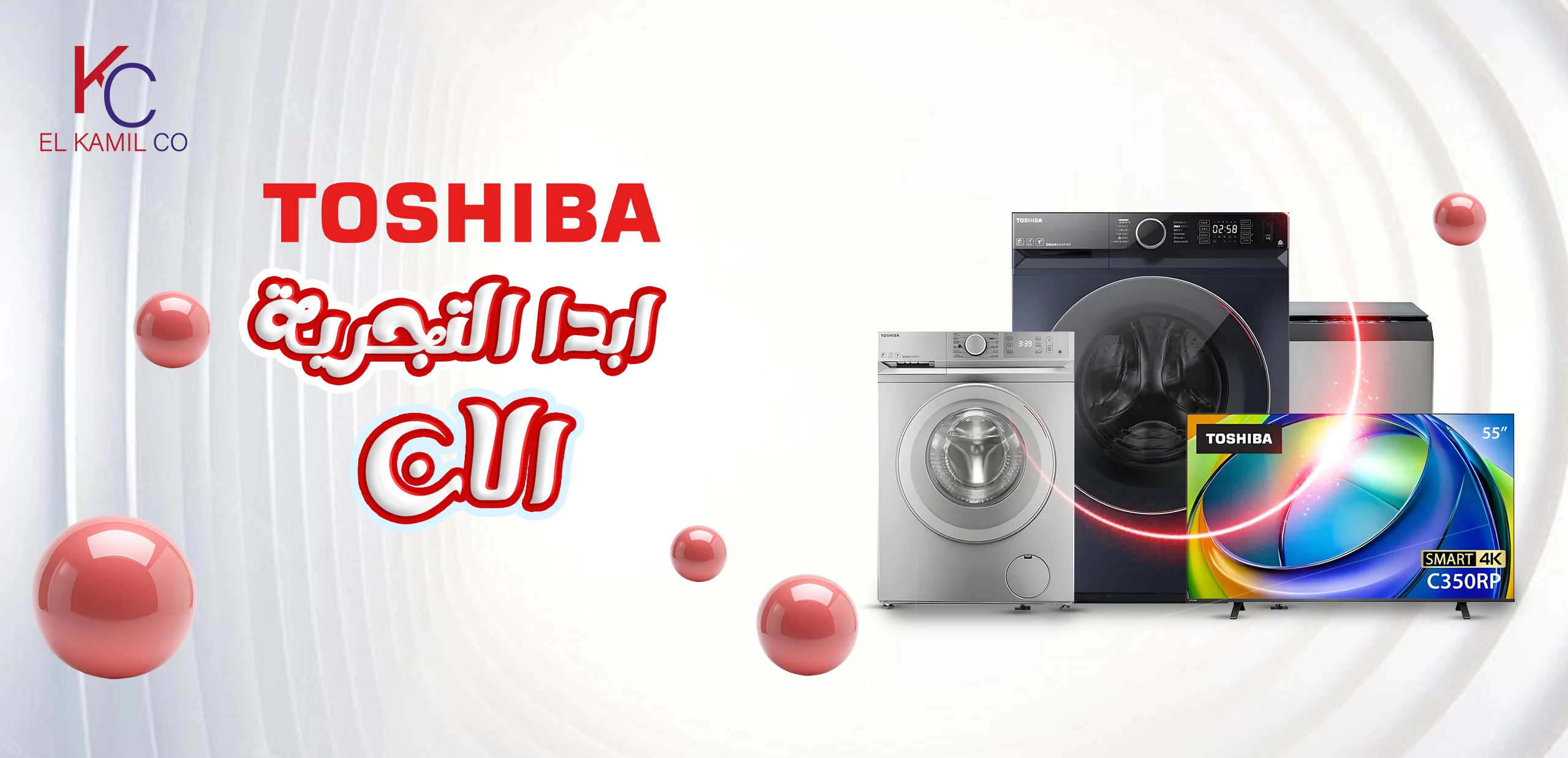 toshi221134dds